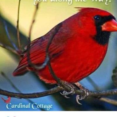 Growing and enjoying a Herb Garden