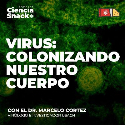Ciencia Snack | Virus: colonizando nuestro cuerpo