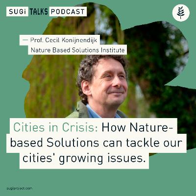 Cities in Crisis: How Nature-based Solutions can tackle our cities’ growing issues.