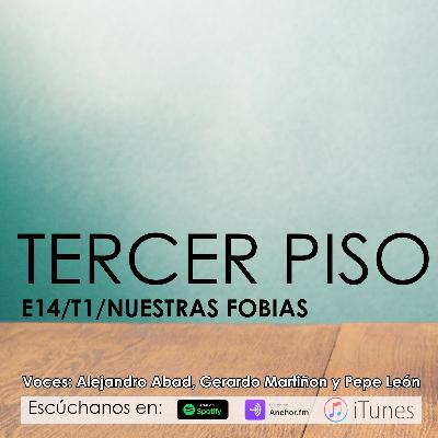 3ER PISO/ NUESTRAS FOBIAS/ E14 T1
