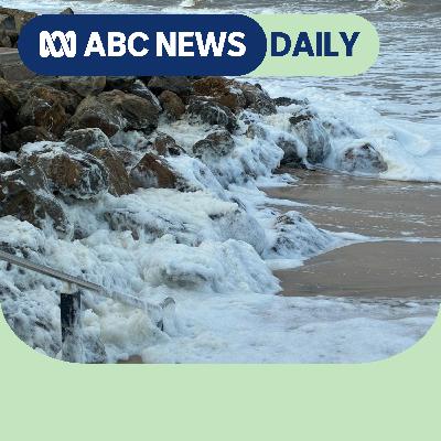 The truth behind the toxic algal bloom