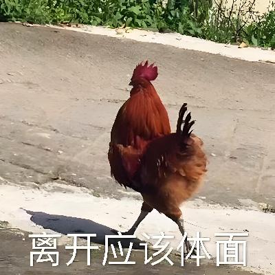 婚姻的尽头就是相互算“鸡”。| 妙宇连朱0827-1