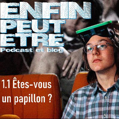 1.1 Êtes-vous un papillon ?