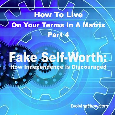 Part Four of "How To Live On Your Terms In A Matrix"; Fake Self-Worth: How Independence Is Discouraged