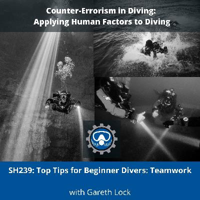 SH239: Top Tips for Beginner Divers: Teamwork