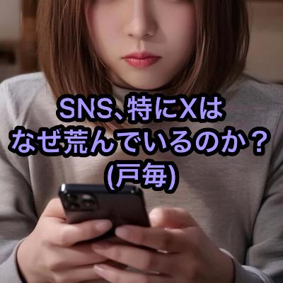 SNS、特にXはなぜ荒んでいるのか?(戸毎) SNS、特にXはなぜ荒んでいるのか?(戸毎)