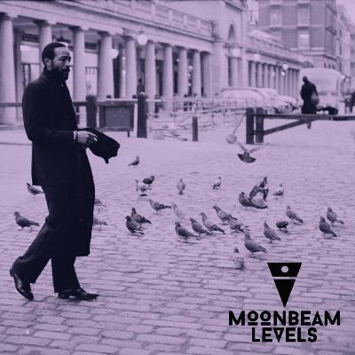 Moonbeam Levels / November 2023 Moonbeam Levels / November 2023