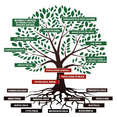 O que é Patologia?