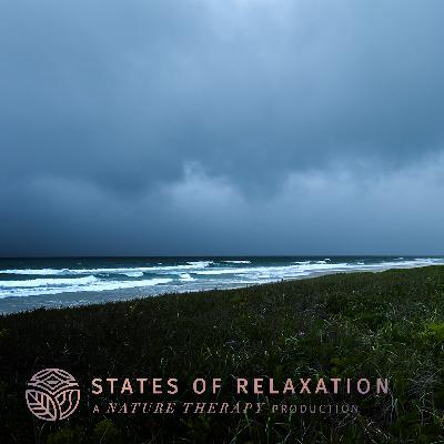 S3 E4: Stormy Ocean in the Northern Rivers, Australia | Summer Storm Sea Sounds for Sleep & Relaxation