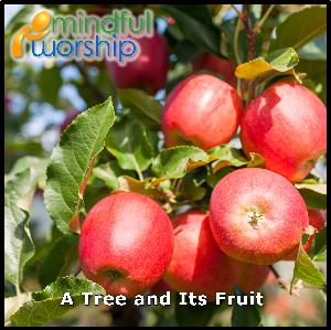 A Tree and Its Fruit A Tree and Its Fruit