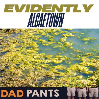 Evidently Algaetown Evidently Algaetown