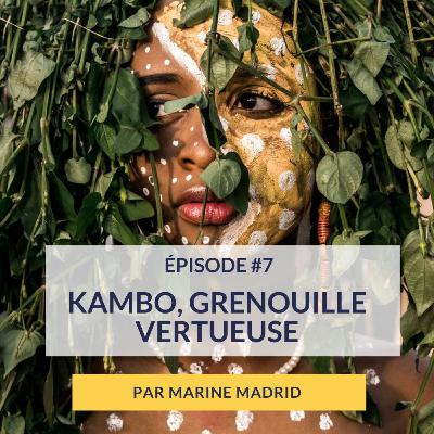 #7 Kambo, grenouille vertueuse