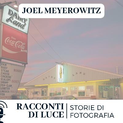32 Joel Meyerowitz - Street photography a colori