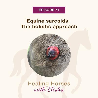 71: Equine Sarcoids: The Holistic Approach
