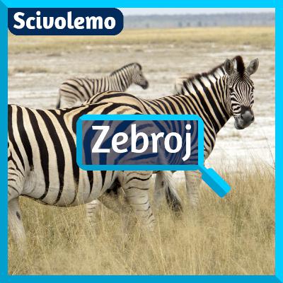 La kialo de la linioj de la zebroj
