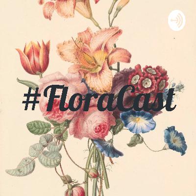 #FloraCast 01 | Como criar um negócio único