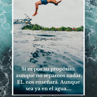 Confía en Dios... Es la única gran alternativa