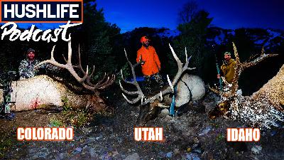 Hunting BIG BULL ELK in 5 States - EP40 (HOW TO HUNT ELK)