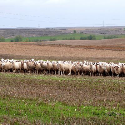 Contratertulia nºCLXIX INCENDIOS FORESTALES (yIII)
