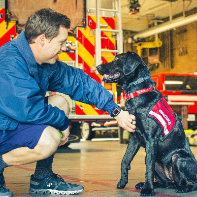 We Get Along Like a House on Fire - feat. Yara the Firehouse Dog