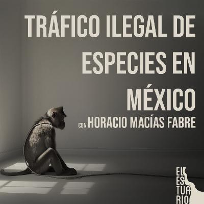 Tráfico Ilegal de Especies en México con Horacio Macías Fabre - 0011 Tráfico Ilegal de Especies en México con Horacio Macías Fabre - 0011