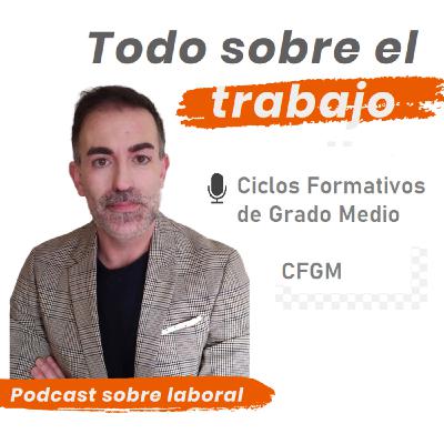 6. El Ciclo Formativo de Grado Medio