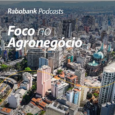 Quais os possíveis impactos do conflito do Irã para o Brasil?