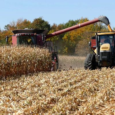 2025 Fall fertilizer outlook: Management tips during economic uncertainty 2025 Fall fertilizer outlook: Management tips during economic uncertainty