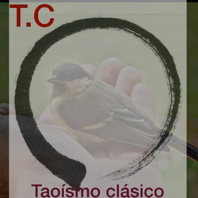 TERTULIA : Encuentros con el taoísmo en el siglo XXI. T:2. Cap. 23