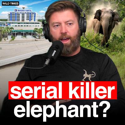 Forrest Galante On How To Stop Serial Killer Elephants In Thailand Forrest Galante On How To Stop Serial Killer Elephants In Thailand