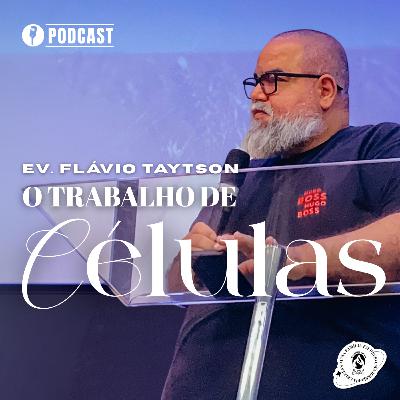 SÉRIE DISCIPULADO 2 EP 04 O TRABALHO DE CÉLULAS | EV.FLÁVIO 24/08/2025