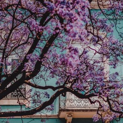 Di Beranda Ini Angin Tak Kedengaran Lagi