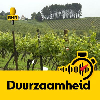 Crisisberaad Franse wijnboeren na slechtste oogst in 70 jaar