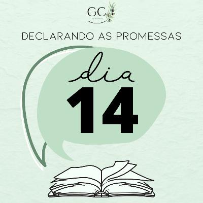 DIA 14 | Declarando as Promessas