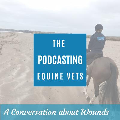A Conversation About Wounds
