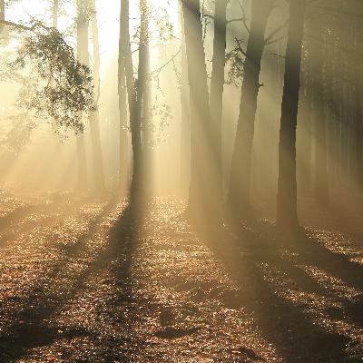 Power of Spirit Power of Spirit