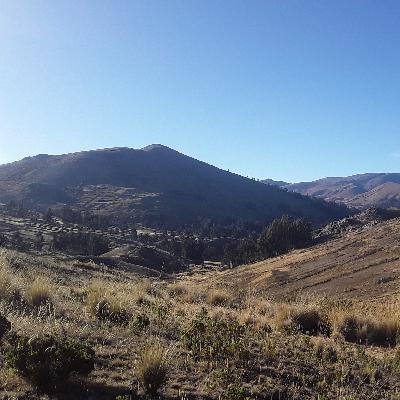 EPISODIO 1 - DON SOLITARIO Y SU AMIGA EPISODIO 1 - DON SOLITARIO Y SU AMIGA