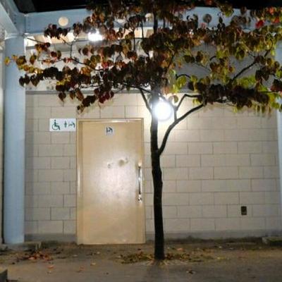 11月6日 19時の最新ニュース