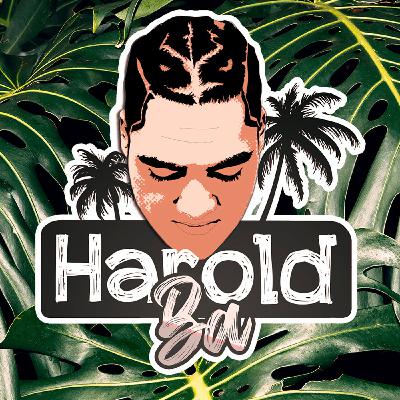 Harold Ba MIXTAPE 08-2020