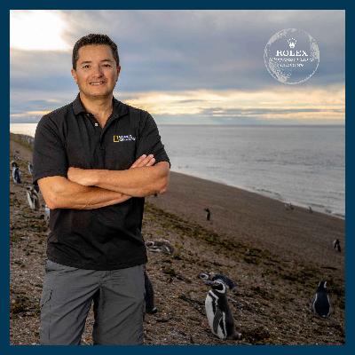 Best of 2025: Planet Hope - the penguin guardian of Patagonia Best of 2025: Planet Hope - the penguin guardian of Patagonia