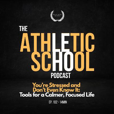 #102 - Mindset Lab: You’re Stressed and Don’t Even Know It: Tools for a Calmer, Focused Life