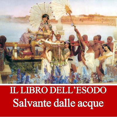 salvante dalle acque