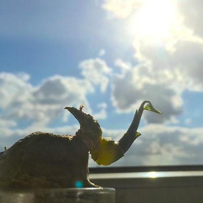 6⁄◊⁄ı»GOD«