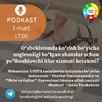 O‘zbekistonda ko‘rish bo‘yicha nogironligi bo‘lgan shaxslar uchun yo‘l boshlovchi itlar xizmati kerakmi?