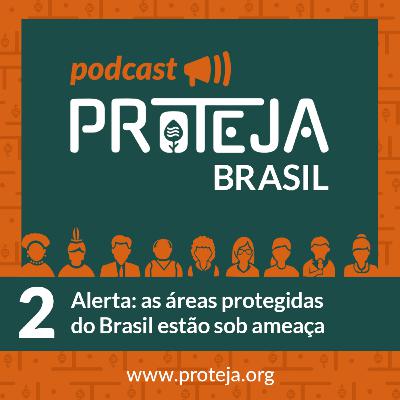 Alerta: as áreas protegidas do Brasil estão sob ameaça