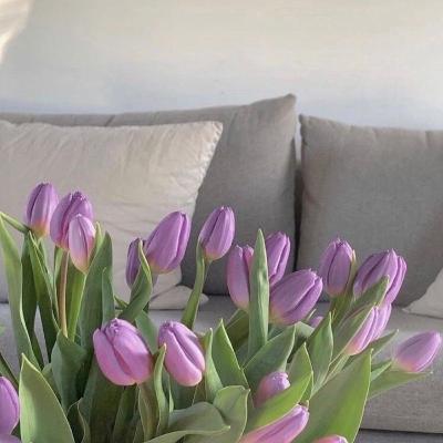 Pengambilan Keputusan dalam kondisi risiko & konflik😱