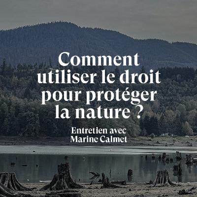 Comment utiliser le droit pour protéger la nature ? - Entretien avec Marine Calmet, juriste en droit de l'environnement