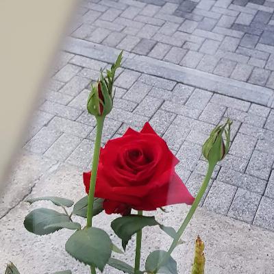 Meu aluno me desafiou!!!