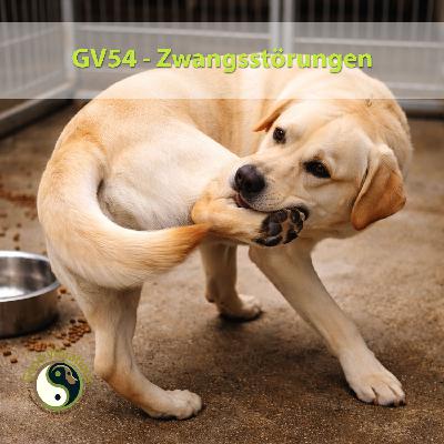 GV 54_Zwangsstörungen beim Hund. GV 54_Zwangsstörungen beim Hund.