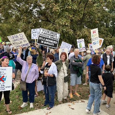 Voices from No Kings